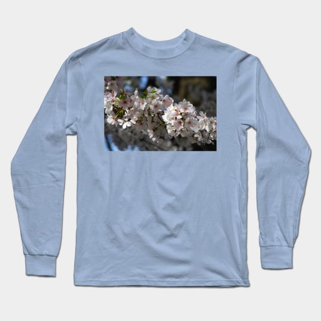 Cherry Blossoms Long Sleeve T-Shirt by Rob Johnson Photography